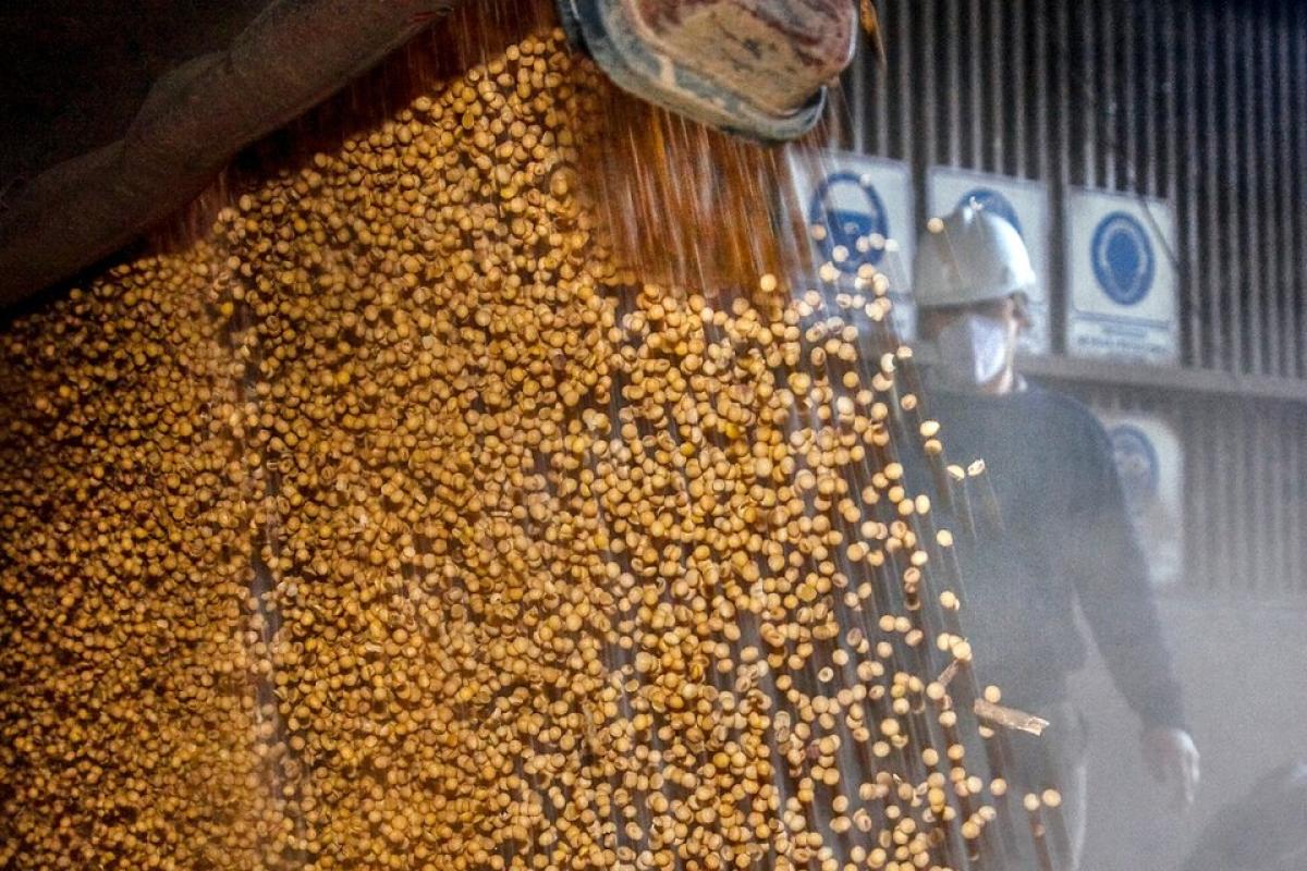 Economía argentina: Exportaciones agropecuarias no logran calmar tensiones cambiarias