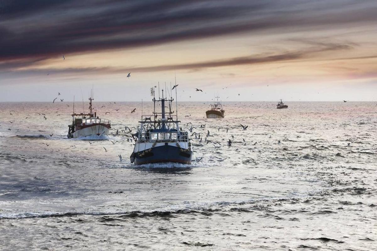 Polémica en la Pesca Argentina: Capturas, Coimas y el Riesgo de Desregulación en el Sector