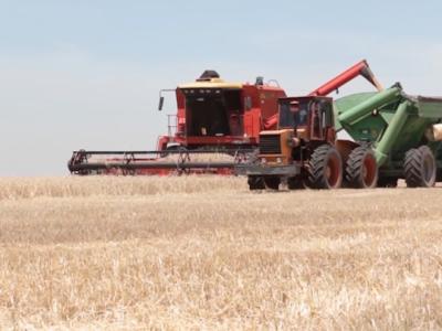 Argentina abrió un mercado clave para su trigo