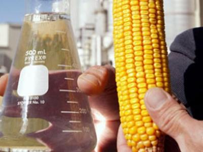 La producción nacional de bioetanol de maíz creció 10,5% en 2023